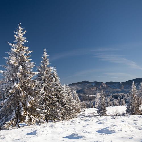 Gyergyo Mountains, Harghita County, Transilvania, Romaina