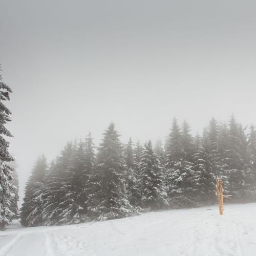 Gyergyo Mountains, Harghita County, Transilvania, Romaina