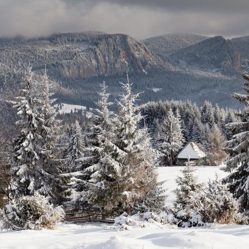 Gyergyo Mountains, Harghita County, Transilvania, Romaina 3