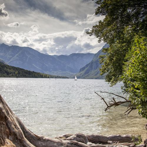 Lake Bohinj, Slovenia