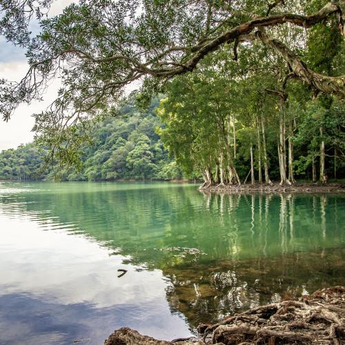 Tai Tam Country Park, Hong Kong