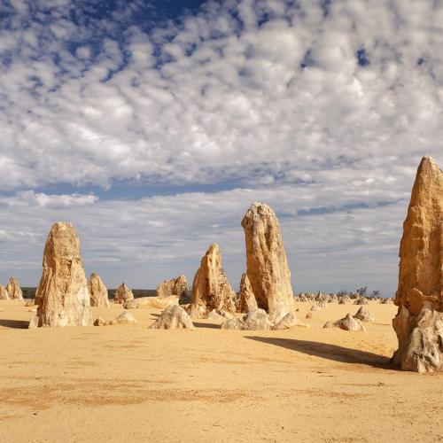 Nambung Pinnacle Desert, Western Australia
