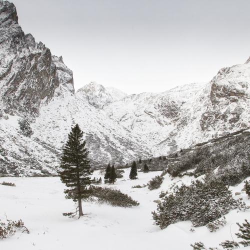 Malá Studená dolina, High Tatras, Slovakia