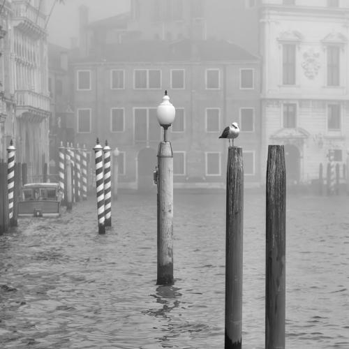Venice6
